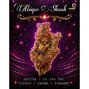 Citrique Skunk 🦨 | L.S.O | SATIVA | $150 an oz | $225 for 2 ozs |
