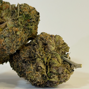 Brainstorm | Value Buds | $100 an ounce | $150 for 2 ounces | thumbnail 3