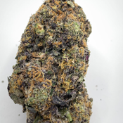  Purple Oasis + 1/4OZ Free