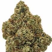  SALE** FRYDAY **GAS6STAR 100$OZ2FOR150$