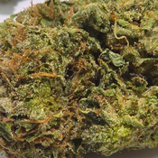 (NEW) Pink Death 💀 $110/Oz 🔥  thumbnail 2