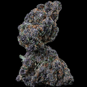 BC Garlic Cake – 14G 90$ – Sativa Dominant l