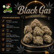 Black Gas [AAA+]