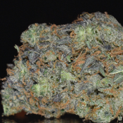 $220 FOR 2 OZ - Greasy Pink