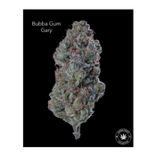 AAA+ - BUBBA GUM GARY