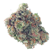 BC (AAA) ORANGE CRUSH thumbnail 3
