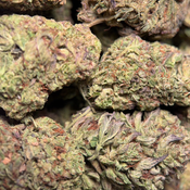 (28G) - BLACK TUNA🖤⛽Indica | 4Oz Bulk Deal for $200 thumbnail 2