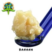 Banana Punch Live Rosin