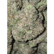 50% DANTES INFERNO SNOWBALL 150OZ 2FOR280 4FOR540