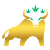 10th Street Cannabis Co.