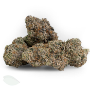 Black Gas (AAAA Indica Flower) thumbnail 4