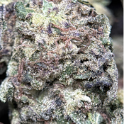 ( 28G )  - Runtz Muffin 🍰🍮 Indica - Qp Bulk Deal For $200 thumbnail 2