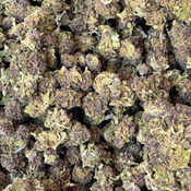 $50 ON SALE!! ~ Blueberry Muffin - SMALL NUGS  4OZ  FOR  $200 