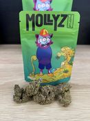 BLUE NERDZ 3.5G