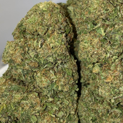 Pink hulk(2 ozs for $180)