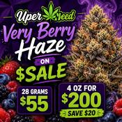 (28G) - Very Berry Haze👌🫐 - 4 Oz Bulk Deal for $200 thumbnail 2