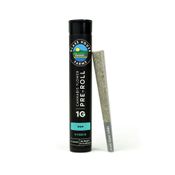 GG4 [1g Preroll]