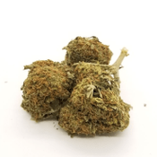 Blueberry OG A+