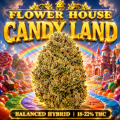 Candy Land | 18-22% THC | BALANCED HYBRID | $45 OZ | $80 / 2 OZ | $115 / 3 OZ | $150 / 4 OZ