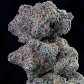BC 5A Strawberry Milkshake – 14G | 95$ – 28G | 140$ – 2 ounces | 240$ – EXOTIC