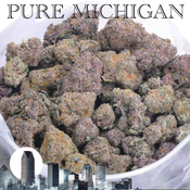 PURE MICHIGAN AAAAA+ CRAFT