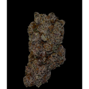 Holy Crop - ❄️🔥 Cold Hard Bitch (Indica-Dominant Hybrid) 34-37% THC | $150 an oz | $225 for 2 ozs thumbnail 2