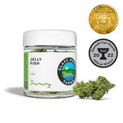Jelly Fish [3.5g Jar]