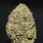 AAAA+ | GAS DROPZ BY GAS STATION BOYS - 3.5G