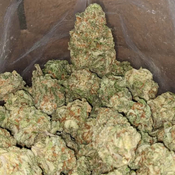 AAA++ Northern Lights thumbnail 3