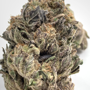 *NEW Star Destroyer // BUY 1OZ GET 1/2OZ FREE