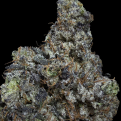 [NEW] Greasy Pink Bubba AAAA+ 