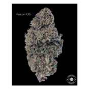 AA - RECON OG
