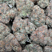 (28G) - BC Alien Cream Cake 👽⛽Hybrid | 2Oz Bulk Deal for $250 thumbnail 4