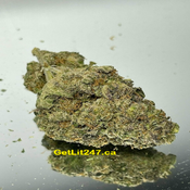 Alien Abduction - Hybrid 70% Indica / 30% Sativa - THC 29%