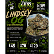 AAAA+ Purple Lindsey Og Quads Kings 