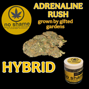 ADRENALINE RUSH - NO SHAME CANNABIS  🌟🌟🌟🌟 