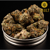  ⭐️FEATURED⭐️ AAAA PINK DIABLO - (STRAIN OF THE WEEK)