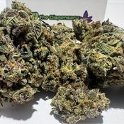 (NEW) El Dorado $75oz thumbnail 4