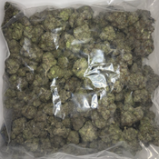 !$105/oz Pink Magnum 80%indica. 20% sativa thumbnail 3