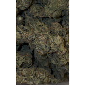 Crystal Coma | INDICA | 23-27% THC | $60 an oz | $85 for 2 Ozs | $140 for 4 ozs | $240 for 8 ozs | thumbnail 2