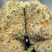 * NEW * Apricot Trainwreck