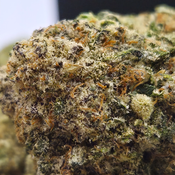 (NEW) Flavor Burst 😋  ($110/Oz)