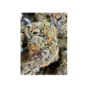 PINK ROCKSTAR LSO ( AAAAA ) thumbnail 3