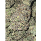 BLACK CHERRY SODA 140OZ 2FOR260 4FOR500 thumbnail 3