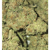 APPLE KUSH 70OZ 2FOR130 4FOR250 thumbnail 2