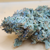 (5 STARS) Royal Gorilla 💯💯💣🔥⛽️ 2 Oz for 250