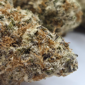 (NEW) Orange Creamsicle 🍊 (On Sale $120/Oz) thumbnail 3