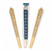 0.8g Caramel Apple Hybrid Pre Roll by KushKraft