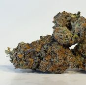 Banana Jealousy | Value Buds | $120 an ounce | $180 for 2 ounces |