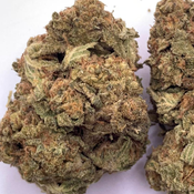 Forbidden Zkittlez AA Local // 3oz for 150$